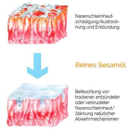 Nasenschleimhaut